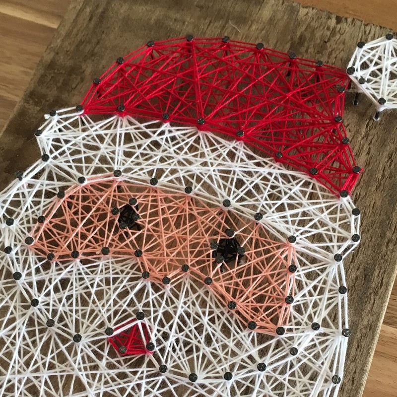 G2PLUS Red Baker Twine, 100 m Cotton Cord, 2 mm