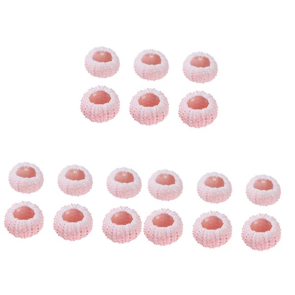 Artibetter 18 Pcs Sea Urchin Shells Crafts Conch Shells Sea