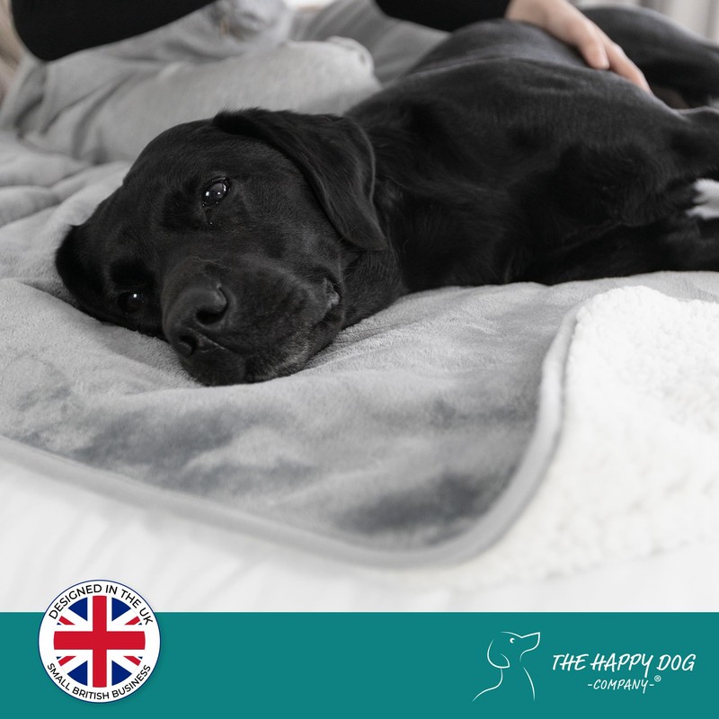 Waterproof Dog Blanket Washable (L) - Easy Clean, Premium, Soft