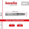 Karella Soft Dart XT-3 19g Barrel Length 55mm Beginner Darts