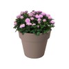 elho Green Basics Top Planter 30 - Flower Pot for