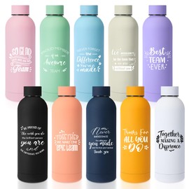 Bokon 10 Pcs Thank You Appreciation Gifts for Employee 17 oz Stainless Steel Frosted Water Bottle Inspirational Water Bottle with Box Christmas Gift for Coworker Staff Teacher Team(Inspiring)