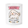Caution Crazy Rabbit Girl Make-Up Brush Pen Pot