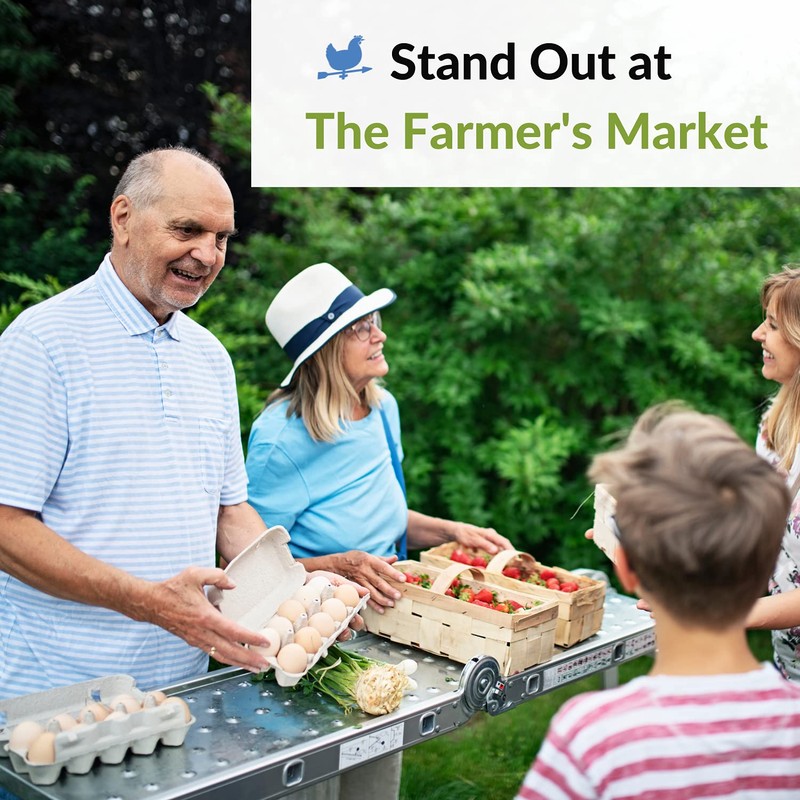 Blank 12-Egg View Top Paper Pulp Egg Carton - Bulk