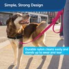 PetSafe Nylon Dog Leash - Strong, Durable, Traditional Style Leash