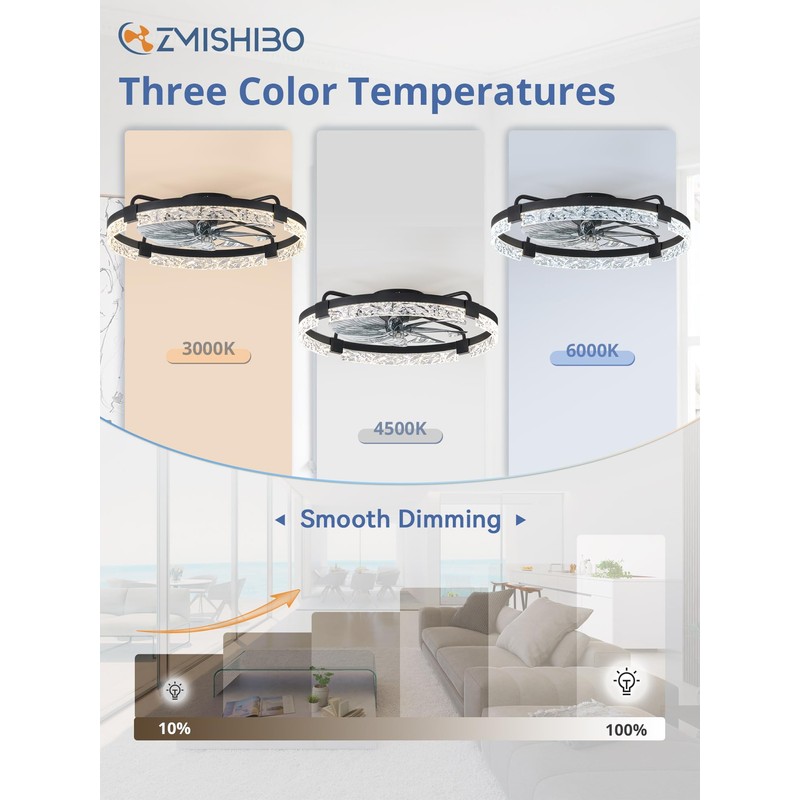 ZMISHIBO Ceiling Fans with Lights and Remote, 24 Inch Flush