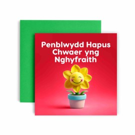 Huxters Penblwydd Hapus Card for Chwaer yng nghyfraith - Welsh Leek Funny Birthday Greetings for Sister-In-Law - 14.8cm (Chwaer yng nghyfraith)
