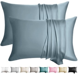 WLOSJ 100% Silk Pillow Cases 2 Pack Standard Size Mulberry Silk Pillowcase for Hair and Skin Set of 2 Highest Grade 6A Silk Soft Breathable Cooling with Hidden Zipper, Grey Blue