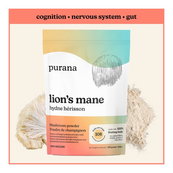 PURANA LIONS MANE POWDER 1:1 250g