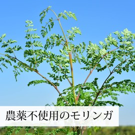 Natural Health Co. Moringa Soup Powder, 14.1 oz (400 g) x 3, Zippered Aluminum Bag