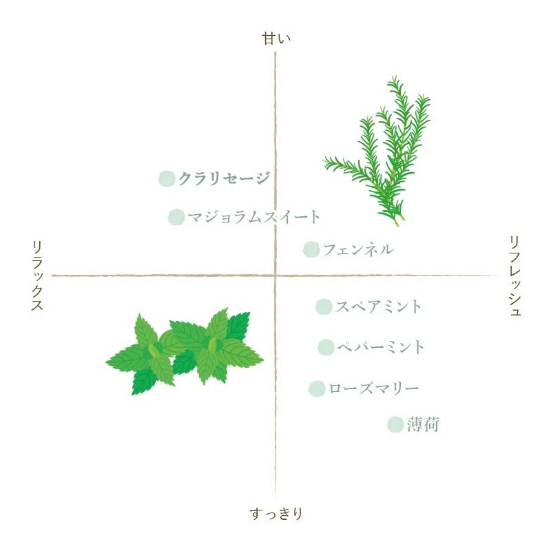 Flavored Life Essential Oil Clarisage 0.3 fl oz (10 ml)