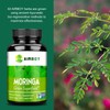 Moringa Herbal Dietary Capsules - Energy and Immune Support-60 capsules