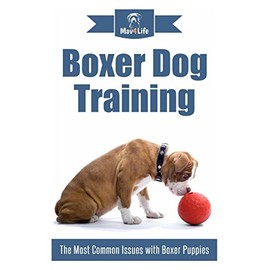 Boxer Dog Training: The Most Common Issues with Boxer Puppies