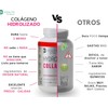 Colageno hidrolizado con Ácido Hialurónico, Elastina y Vitamina C, Natural,