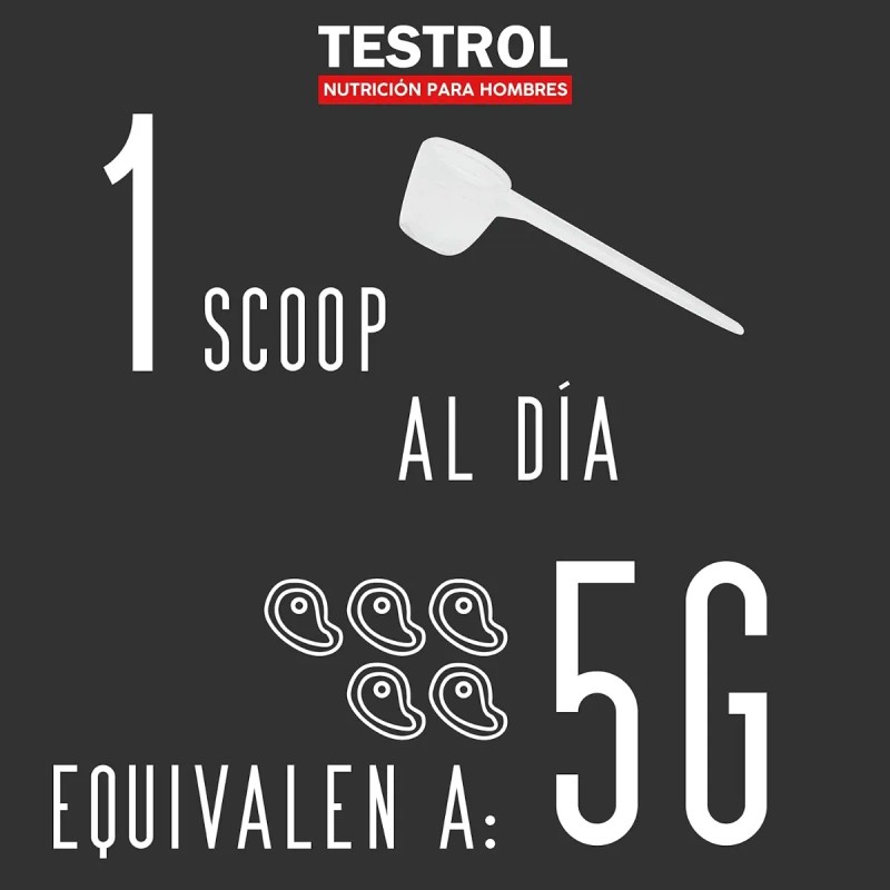 Alligator Creatina essential Creatina Monohidrato Testrol 80 Servicios. Sin sabor.