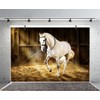 LFEEY 10x8ft Western Photography Backdrops Countryside West Cowboy Horse in