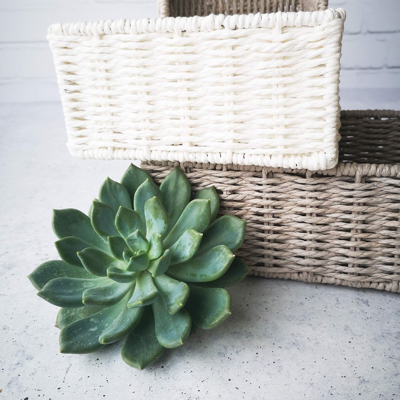Zeller 18094 Storage Baskets Set of 2 Paper Wicker 24