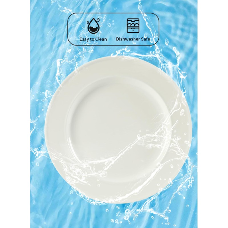 TAMAYKIM 10 Inch Porcelain Salad Dinner Plates 8 Pieces, Wide