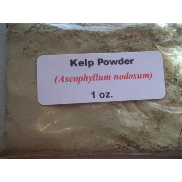 Kelp Powder 1 oz. Kelp Powder (Ascophyllum nodosum) 