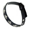 Collar with Skull & Bones designs