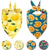 Cute Fruit Dog Bandanas 2 Pack, 4 Patterns Watermelon Lemon