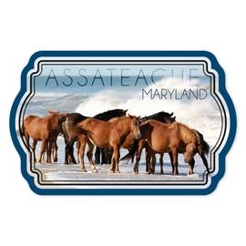Die Cut Sticker Assateague, Maryland, Horses on Beach, Contour Vinyl Sticker 1 to 3 inches (Waterproof Decal for Cars, Water Bottles, Laptops, Coolers), Small