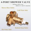 Replacement for 2520 Posi-Temp Valve, Compatible with 2520 Pressure Balancing