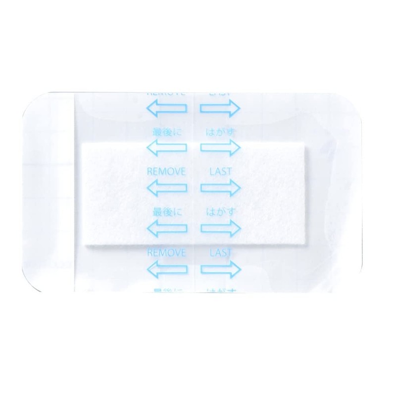 ニチバン カテリープラス パッド 60mm×100mm CPSP0610