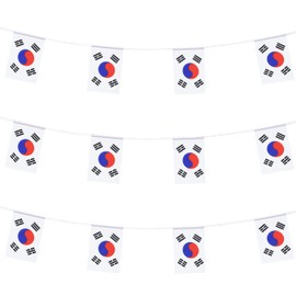 ZXvZYT Korea Korean Flag Banner String,Small Mini Korea Pennant flags,For Grand Opening,Olympics,National Sports Events,Party Festival Decorations(50 Feet 38 Flags)