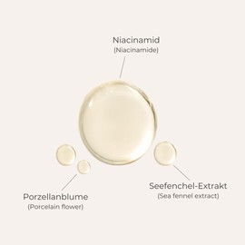 Dr. Bouhon - The Serum Essence (50ml) - Gesichtsserum mit Niacinamid, Seefenchel & Meerwasser - regenerierende, porenverfeinernde & antioxidative Gesichtspflege - vegan & dermatologisch getestet