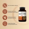 Quercetin Naturebell Quercetin 1000Mg Per Serving | 240 Capsules, Ultra
