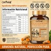 Glucosamina Complex Glucosamine 1500mg, Chondroitin, MSM, Curcumin, Quercetin, 90 Caps