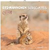 Alpha Edition - Erdmännchen 2026 Broschürenkalender, 30x30cm, Wandkalender mit Platz