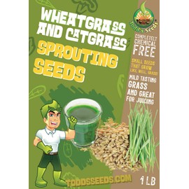Todd's Seeds Wheatgrass Seeds; Hard Red Winter Wheat, Non-GMO, Chemical Free, High Germination (1/2 Pound)