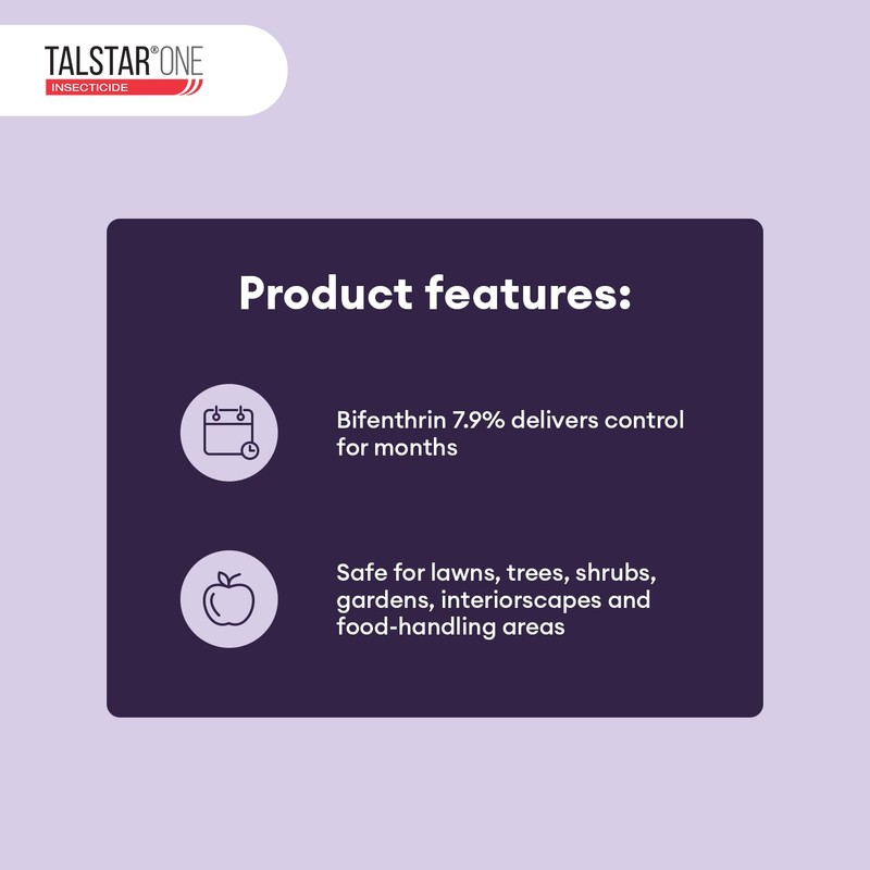Talstar One Insecticide 1 Gallon | Powerful Bifenthrin Bug Spray