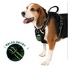 SPORN Easy Control Harness M