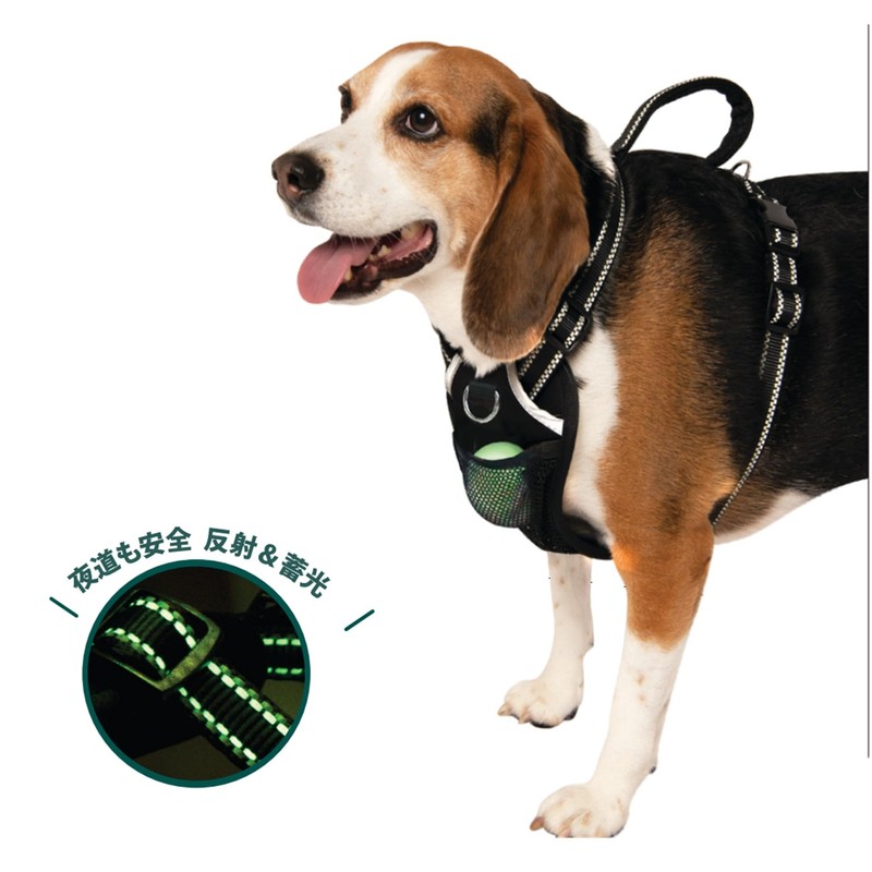 SPORN Easy Control Harness M