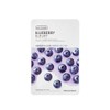 The Face Shop Ground Blueberry Mask Sheet 20g / 갈아만든 블루베리 마스크시트 20g