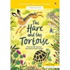 Hare and the Tortoise