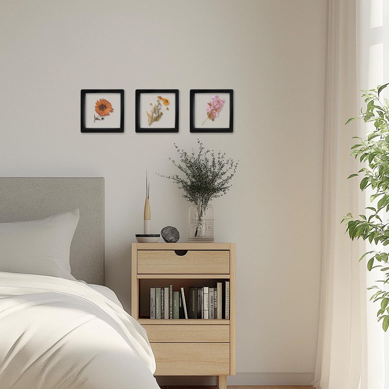 QUYLIXX Black 3D Floating Frame Display Holder Stands, Coin Display