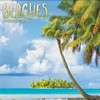 2025 Beaches Mini Wall Calendar