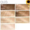 Garnier Hair Color Olia Ammonia-Free Brilliant Color Oil-Rich Permanent Hair