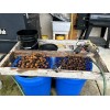 BLACK WALNUTS: 5lbs Fresh Organic 2025 Harvest, Naturally Grown in