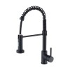 ZSW Kitchen Faucets with Pull Down Sprayer Black Spring Commercial