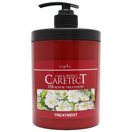 NAPLA CARETECT HB Repair Treatment 650g 8.82oz