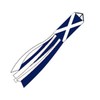St Andrews Windsock