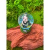 Onwomania Panda Bear Cute Height 6.5 cm Snow Globe Glitter