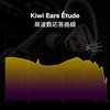 Linsoul Kiwi Ears Étude Hybrid High-end In-Ear Earbuds Independently Developed