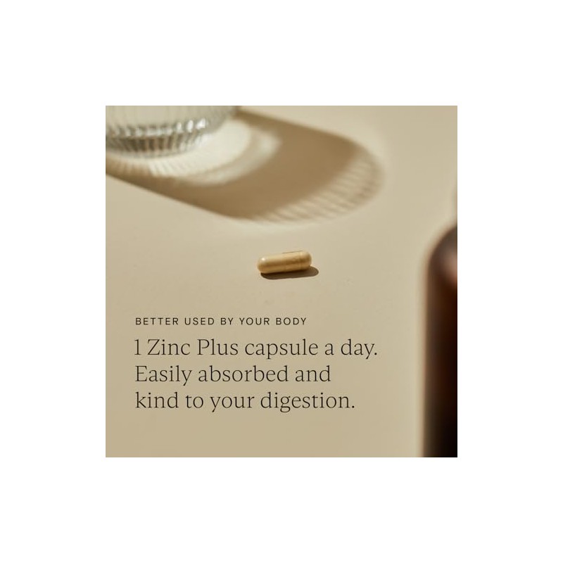 WILD NUTRITION Zinc Plus | Zinc Supplement for Cognitive, Fertility