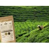 WHITE TEA Superior Blend Hand Harvested - Premium Herbal Tea